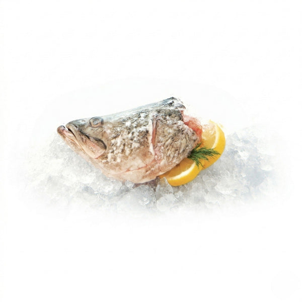 Barramundi Fish Head 2KG Pack (Collar On)