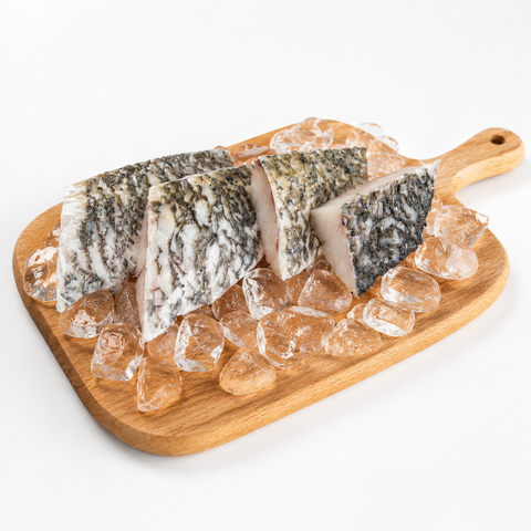 Barramundi
