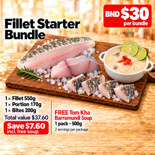 Fillet Starter - $30 Bundle